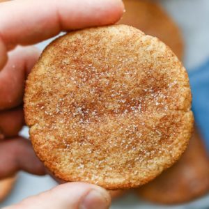 Keto Snickerdoodle Cookies - 1 Net Carb